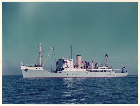 Colour photograph of Ports & Harbour maintenance ship, the 'RIP'