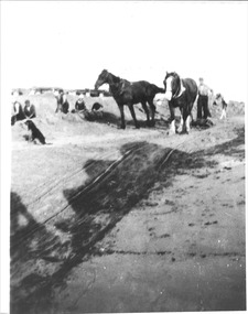 Black & white photo of horse drawn sand dredging