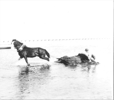 Black & white photograph Boat Channel - Horse drawn dredge involved in The Cut