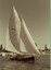 Colour photograph of the Couta boat AERIAL at Portland