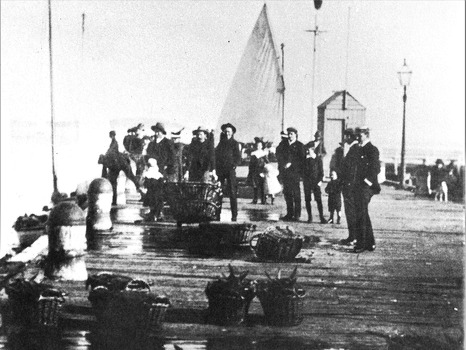 Black & white 1908 photograph of Queenscliffe fishermen's catch on the pier