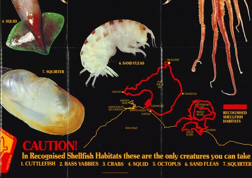 Part pamphlet re shellfish 'take' permitted