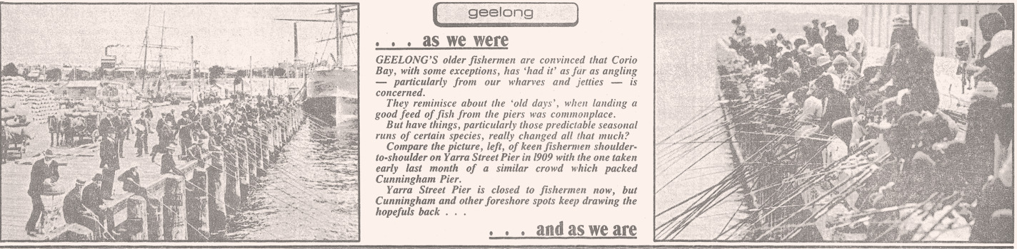 News article re 1909 v 1987 Trevalla fishermen in Geelong.
