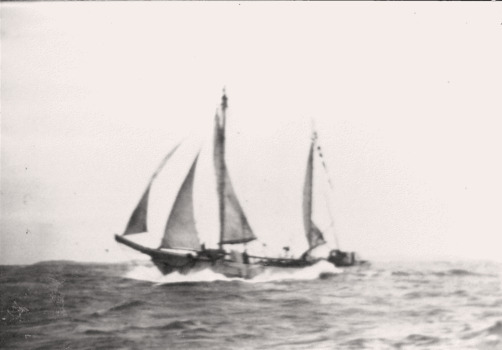 Photo of the DEFENDER under sail