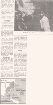 Article about the history of the Pope's Eye in Port Phillip c1986