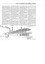 News articles from various newspapers re Queenscliffe.