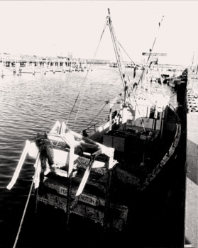 re-floated scallop boat PORTARLINGTON at Queenscliffe Creek.