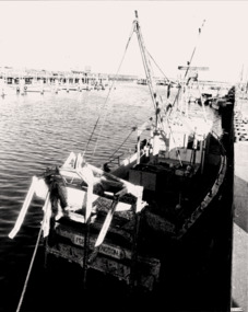 re-floated scallop boat PORTARLINGTON at Queenscliffe Creek.