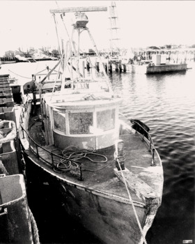 B&W photo of re-floated scallop boat PORTARLINGTON's bow at Queenscliffe Creek.