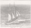 ONE & ALL testing rigging prior to sailing to England, Mar 1987.