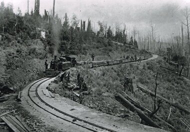 Photograph, Victorian Railways, Beech Forest: From 27 miles 16 chains looking north, c.1901, 1901