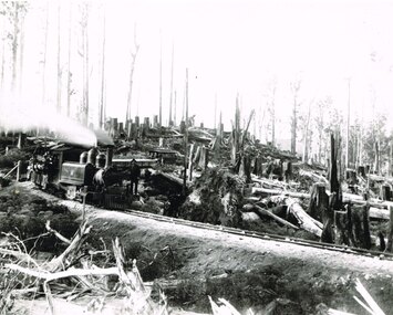 Photograph, Victorian Railways, Beech Forest: Locomotive 8A and rolling stock, c.1901