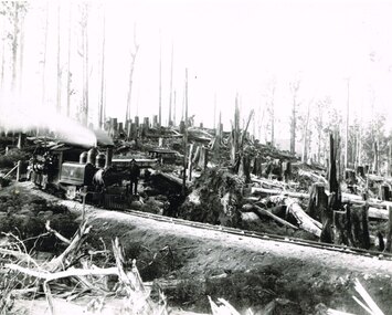 Photograph, Victorian Railways, Beech Forest: Locomotive 8A and rolling stock, c.1901, c.1901