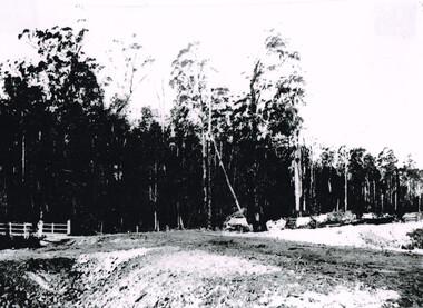 Photograph, Beechy: At 10 mile creek, 1900