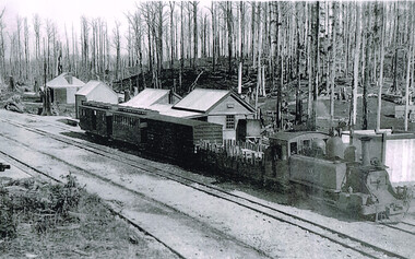 Photograph, Crowes Station, 1912
