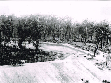Photograph, Knox Collection, Beech Forest railway embankment under construction, 1901