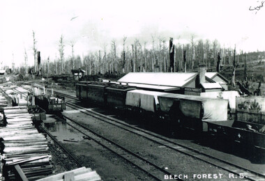 Photograph, Beech Forest railway station, carriages and wagons, c.1915