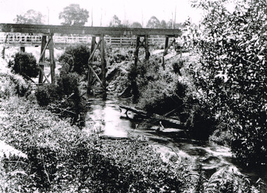 Photograph, Knox Collection, Railway Bridge over Gellibrand River, 1902