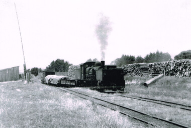 Photograph, R.L. Forster, G41 and mixed goods, Beech Forest, 1950, 1950