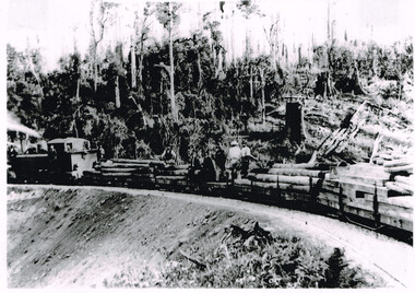 Photograph, Knox Collection, Train hauling timber to build Colac-Beech Forest railway, 1901