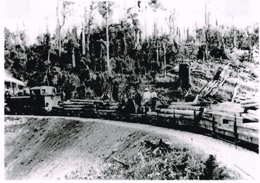 Photograph, Knox Collection, Train hauling timber to build Colac-Beech Forest railway, 1901, 1901