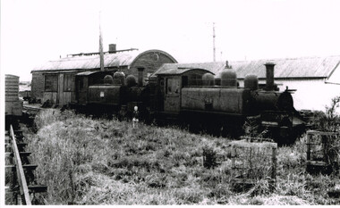 Photograph, Brucker, Locos 5A and 14A at Colac siding, c.1930, c.1930