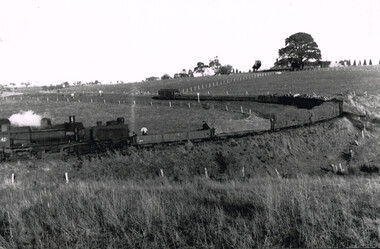 Photograph, Tulloh: last train from Weeaproinah, June 2011