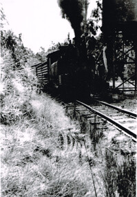 Photograph, Les Ogden, Wimba: Loco 14A takes water, c.1961