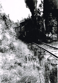 Photograph, Les Ogden, Wimba: Loco 14A takes water, c.1961, c.1961