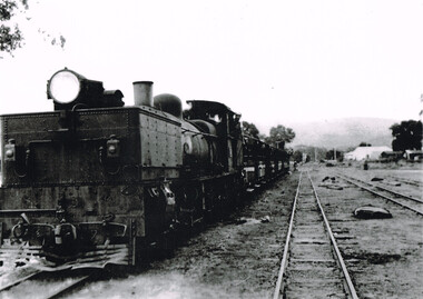 Photograph, Les Ogden, Gellibrand: Excursion train to Beech Forest, 1960