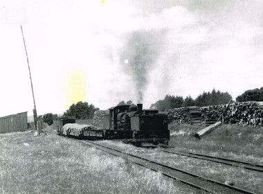 Photograph, R.L. Forster, Train leaving the balloon reversing loop at Beech Forest, 1950