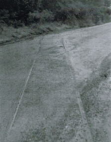 Photograph, Bob Wilson, Wyelangta: tramway rails in roadway, 1964, 26 April 1964