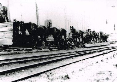 Photograph, Knox Collection, Pettit's Siding: A loader, teamster and their six-horse load, c.1920
