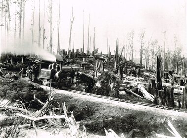 Photograph, Victorian Railways, Between Devitt Bros. Siding & Ditchley, 1901, 1901