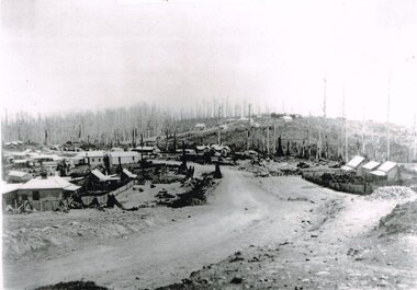 Photograph, Knox Collection, Beech Forest township, c.1903, c.1903