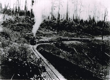 Photograph, Knox Collection, Train between Dinmont and Beech Forest, c.1915