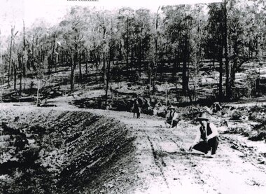 Photograph, Knox Collection, Surveying construction near Barongarook, 1900