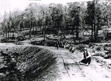 Photograph, Knox Collection, Surveying construction near Barongarook, 1900, 1900