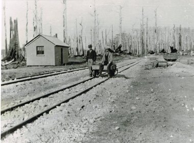 Photograph, Knox Collection, Beech Forest railway terminus, 1902