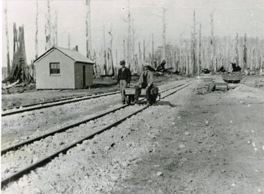 Photograph, Knox Collection, Beech Forest railway terminus, 1902, 1902