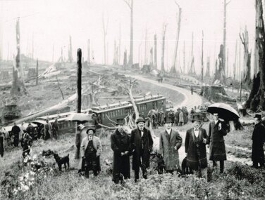 Photograph, Victorian Railways, Beech Forest: Opening Day, 1902, 26 February 1902