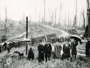 Photograph, Beech Forest: Opening Day, 1902, 26 February 1902