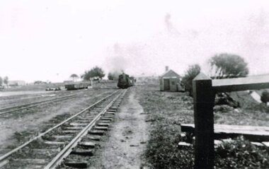 Photograph - Black and white photograph, Irene Zappelli Collection, empty, c. 1900