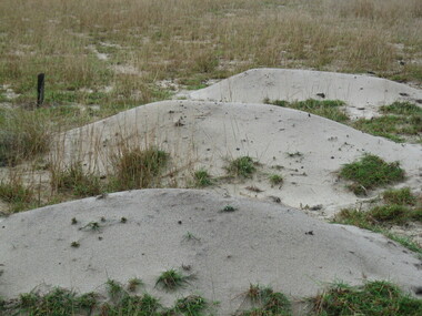 3 VBP graves at Besut, Terengganu, Malaysia