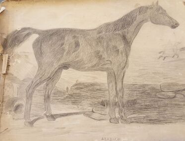Drawing - Harris Collection: Handmade booklet of drawings