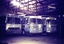 Calder Coaches - Three Bendigo Buses in the Depot shed