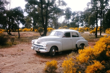 Slide - Peter Ellis Collection, Portrait, Cars and the Whipstick, c1970-1972