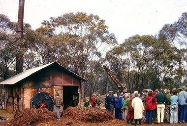 Slide - Peter Ellis Collection, the Whipstick and Eucalyptus Oil Production, Solomon Gully Reserve Quarry Hill, Quarry Hill Golf Course Extensions Some history of the Whipstick, 1970-1990