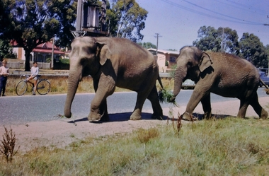 Slide - Images by Arthur Pulfer, 1957-1970