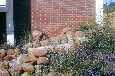 Slide - Bendigo College of Advanced Education - Landscaping, about 1986